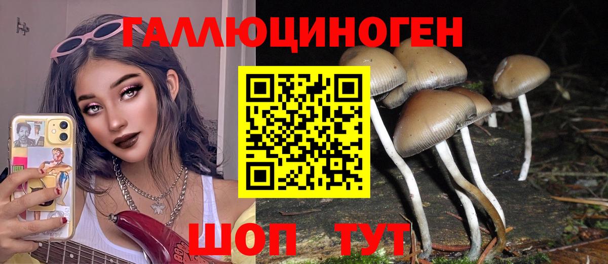 Галлюциногенные грибы MAGIC MUSHROOMS Владикавказ