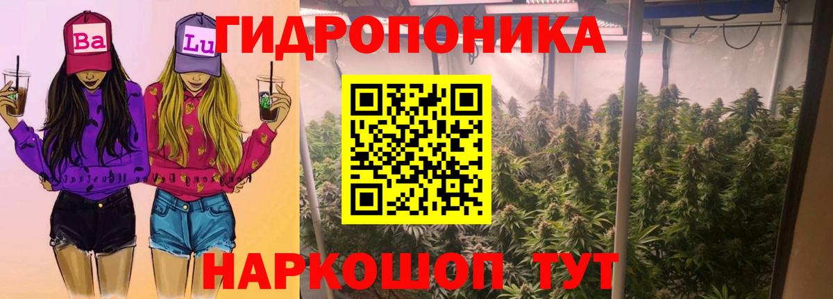 Марихуана марихуана  Вход с VPN  Канабис тримм  Конопля MAZAR  Владикавказ  Шишки марихуана OG Kush 